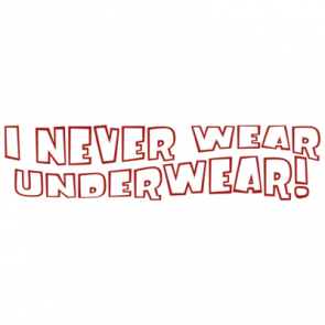 I Never Wear Underwear Tshirt