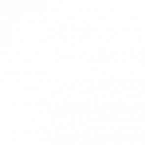 I Secretly Hate Your Kids  Funny Tshirt