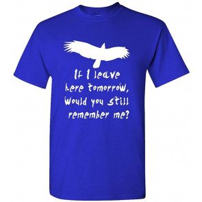 IF I Leave HERE Tomorrow Would You Remember T-Shirt