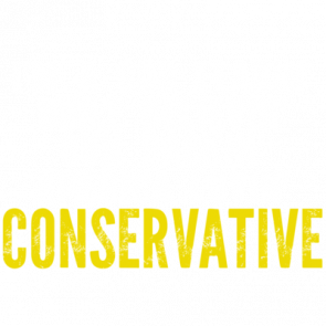 Im A God Fearin Bible Believin Gun Packin America Lovin Conservative Tshirt