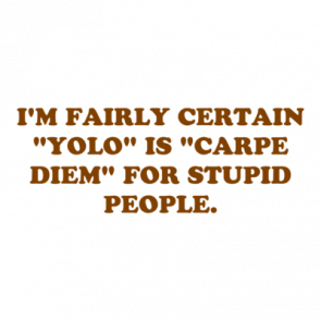Im Fairly Certain Yolo Is Carpe Diem For Stupid People Shirt