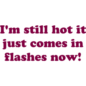 Im Still Hot It Just Comes In Flashes Now Shirt