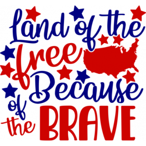 Land Of The Free America Because Of The Brave T-Shirt