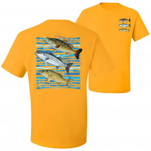 Largemouth Striped Smallmouth Big Bass Fish T-Shirt