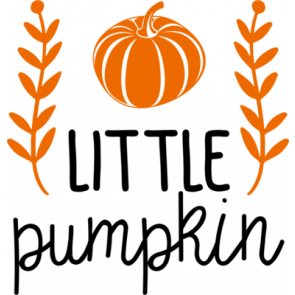 Little Pumpkin1 T-Shirt