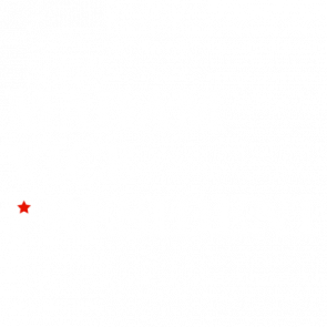 Madam Vice President Tshirt