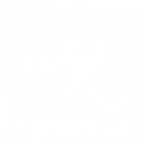 Mangle Five Nights At Freddys T Shirt