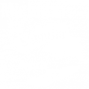 Michigan Is Superior Ohio Is Erie  Michigan Tshirt