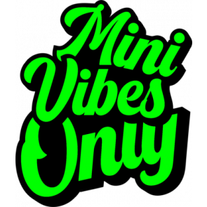 Mini Vibes Only T-Shirt