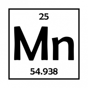 Mn Element  Minnesota Tshirt