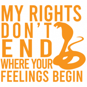 My Rights Dont End Where Your Feelings Begin 2nd Amendment  Pro Guns Tshirt