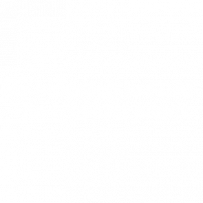 My Stomach Is Flat The L Is Just Silent Fat Guy Tshirt
