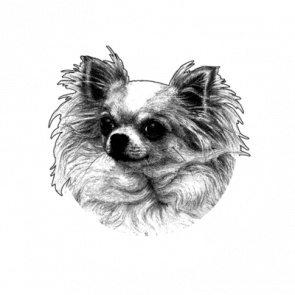 Neighborhood Watch Dog Tshirt