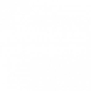 Nevertheless She Persisted Tshirt
