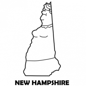 New Hampshire Funny Tshirt