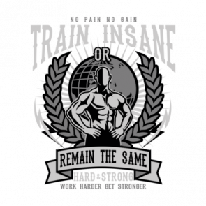 No Pain No Gain Train Insane Or Remain The Same Working Out Exercise Tshirt