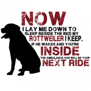 Now I Lay Me Down To Sleep Beside My Bed My Rottweiler I Keep Rottweiler Tshirt