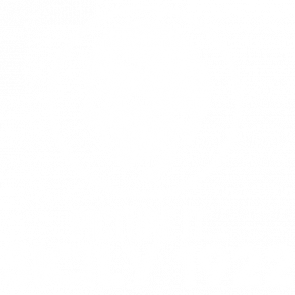 Picture It Sicily 1922 Golden Girls Dorothy  Tshirt