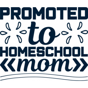 Promoted To Homeschool Mom T-Shirt