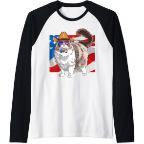 Ragdoll Cat 4th Of July Patriotic American Flag T-Shirt