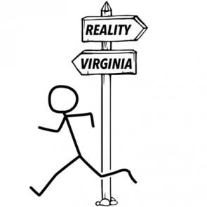 Reality  Virginia Tshirt