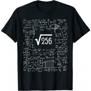 Square Root Of 256 Birthday Art 16 Years Old Math Nerd Geek T-Shirt