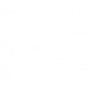 Summer Road Trip Wh T-Shirt