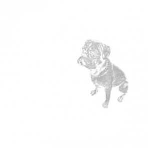 Tell Me Its Just A Dog And I Will Tell You You Are Just An Idiot  Tshirt
