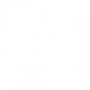There It Goes My Last Flying Fuck  Funny Sarcastic Tshirt