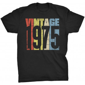 Vintage 1975 Retro Birthday Gift For Men T-Shirt