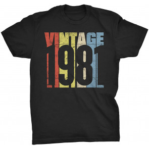 Vintage 1981 Retro Birthday Gift For Men T-Shirt