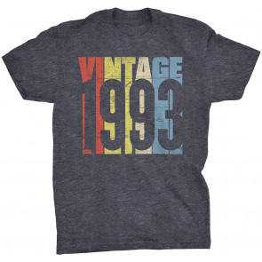 Vintage 1993 Retro Birthday Gift For Men T-Shirt