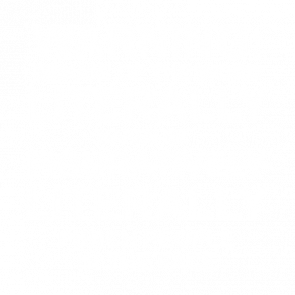Warning Misuse Of The Word Literally Makes Me Punch People In The Face  Funny Tshirt