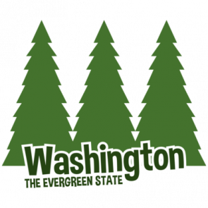 Washington  The Evergreen State  Washing Tshirt