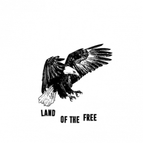 Welcome To America Home Of The Brave Land Of The Free Patriotic Tshirt