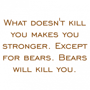 What Doesnt Kill You Makes You Stronger Except For Bears Bears Will Kill You Shirt