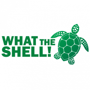 What The Shell  Funny Turtle Tshirt