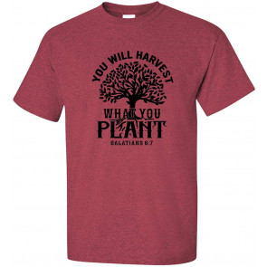You Will Harvest What You Plant Christian Galations 6:7 T-Shirt