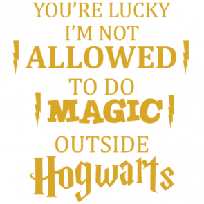 Youre Lucky Im Not Allowed To Do Magic Outside Hogwarts  Harry Potter Tshirt